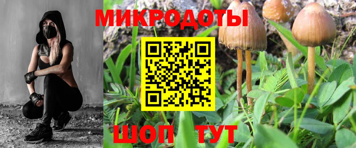 Галлюциногенные грибы GOLDEN TEACHER  Вход с VPN  Спасск-Дальний 