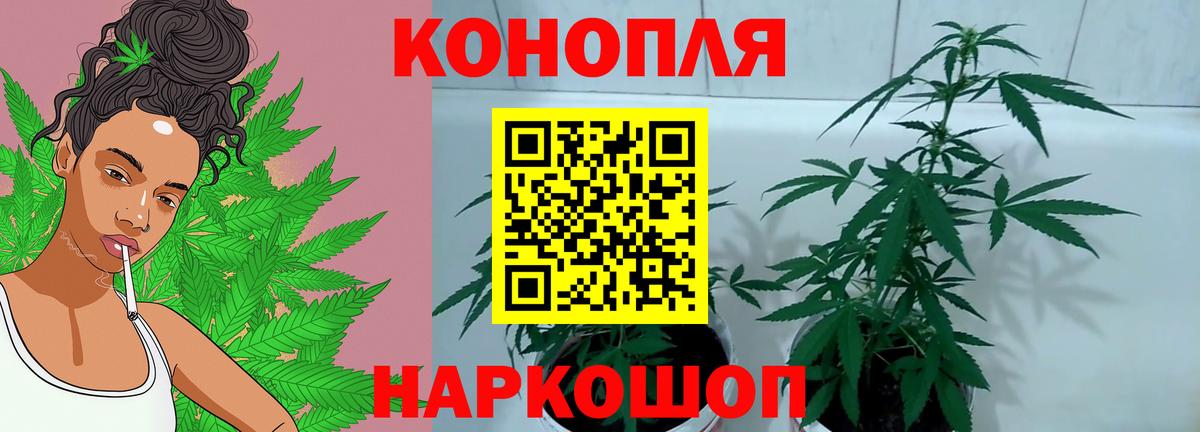 Шишки марихуана Ganja  Бошки Шишки OG Kush  Спасск-Дальний  Марихуана Amnesia  Вход с VPN 